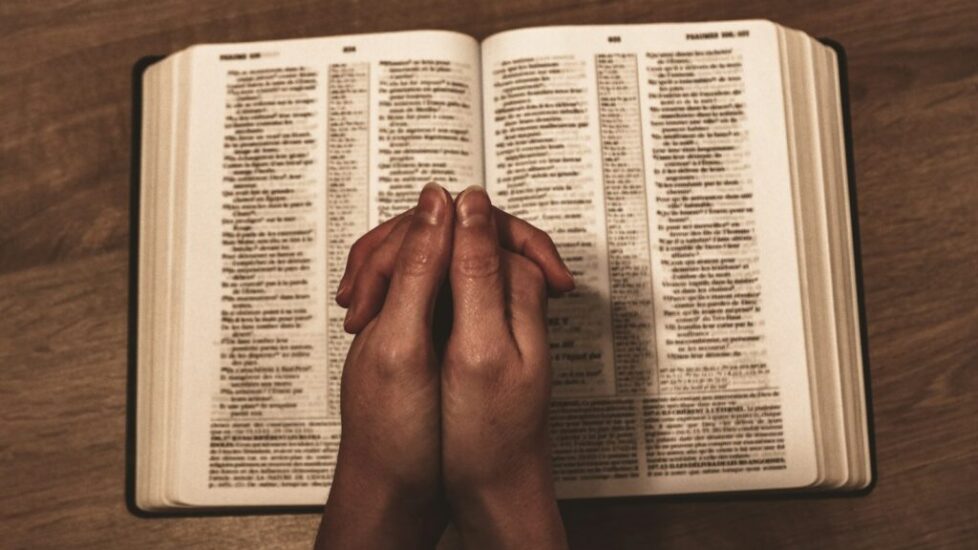 person holding book on brown wooden table